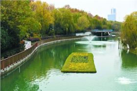 浮田型漂浮湿地生态浮岛初现塘西河