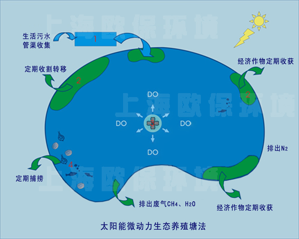 太阳能微动力生态养殖塘法