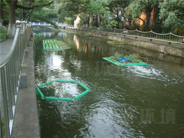 华东理工大学校园河道治理