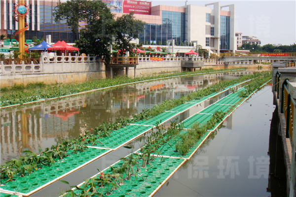 生态浮岛应用于广州汾江河治理