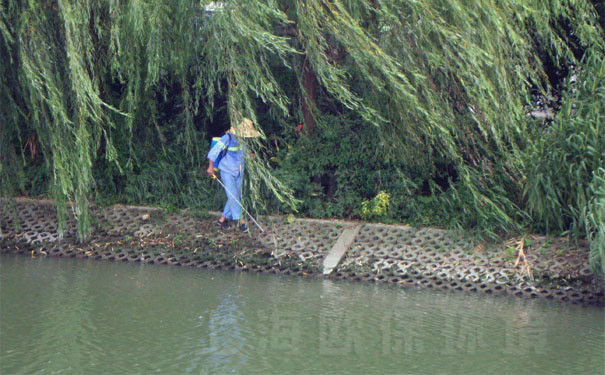 喷洒农药等都造成了景观水污染