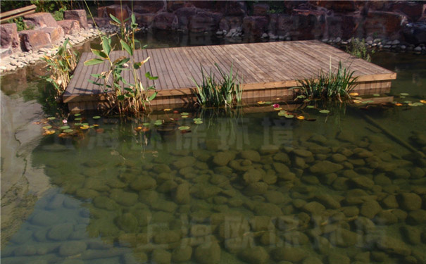 浸没式生物过滤器