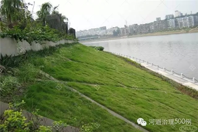 生态护堤 生态护堤