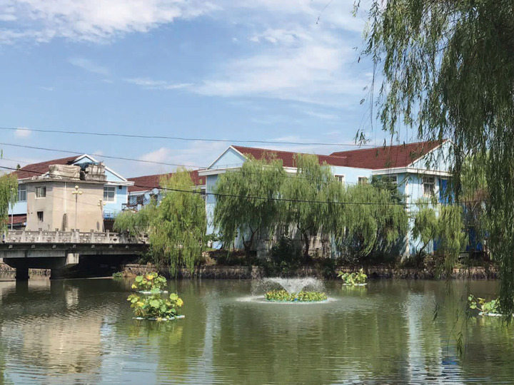 桐乡这个村，河道水质跨越式提升有啥秘诀 欧保FANS喷泉曝气机