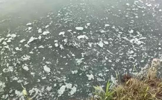 蓝藻杀完就行了?不,蓝藻死后才最难搞 蓝藻杀完就行了?不,蓝藻死后才最难搞