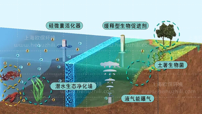 柔性立体生态护岸、潜水生态净化墙 柔性立体生态护岸、潜水生态净化墙