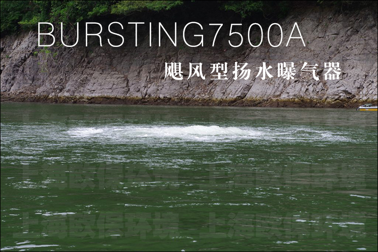 BURSTING7500A飓风型扬水曝气器