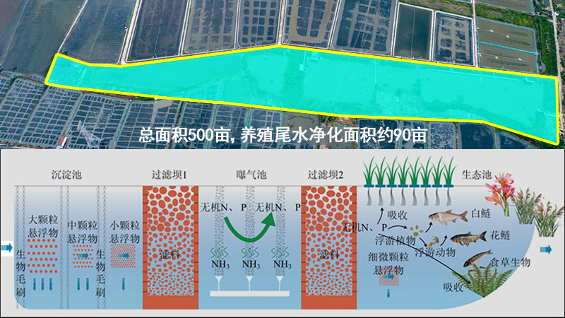 传统三池两坝工艺,占地面积大,性价比不高 传统三池两坝工艺,占地面积大,性价比不高
