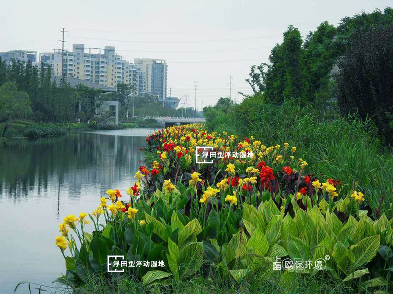 人工浮岛，浮田型漂浮湿地