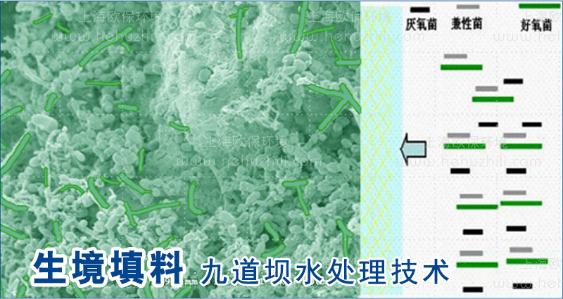 生境填料作为微生物载体，避免微生物大量流失，形成生物膜体系