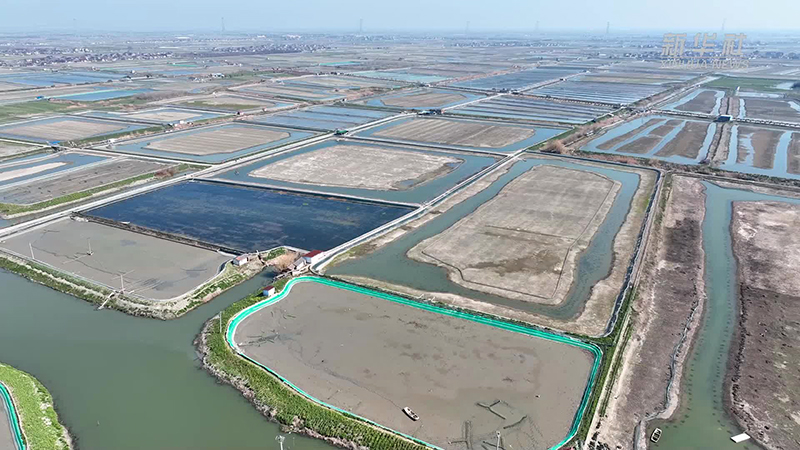 蟹塘养殖尾水治理方案:改进型三池两坝工艺 蟹塘养殖尾水治理方案:改进型三池两坝工艺