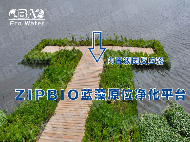 ZIPBIO欧保蓝藻应急治理平台