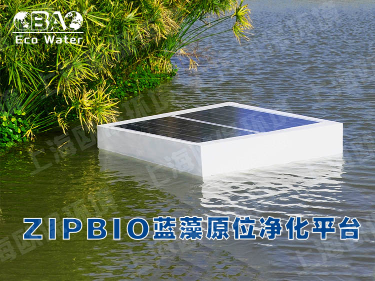 ZIPBIO欧保蓝藻应急治理平台