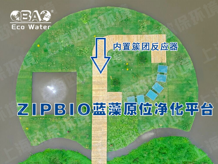 ZIPBIO欧保蓝藻应急治理平台