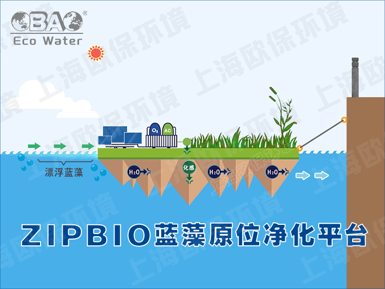 ZIPBIO欧保蓝藻应急治理平台