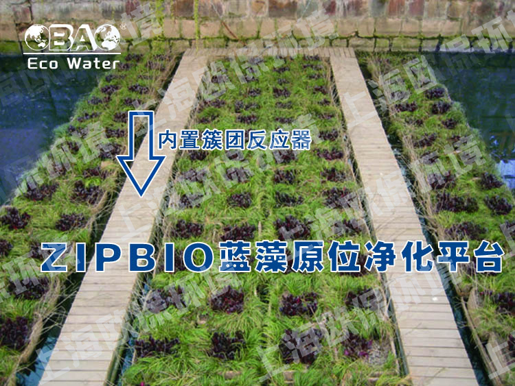 ZIPBIO欧保蓝藻应急治理平台