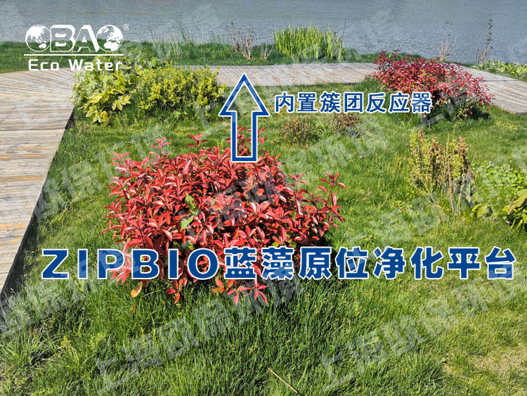 ZIPBIO欧保蓝藻应急治理平台