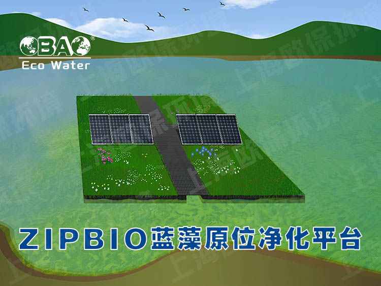 ZIPBIO欧保蓝藻应急治理平台