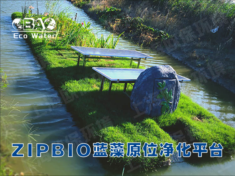 ZIPBIO欧保蓝藻应急治理平台