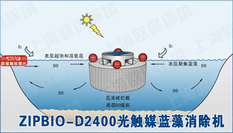 ZIPBIO-D2400光触媒蓝藻消除机