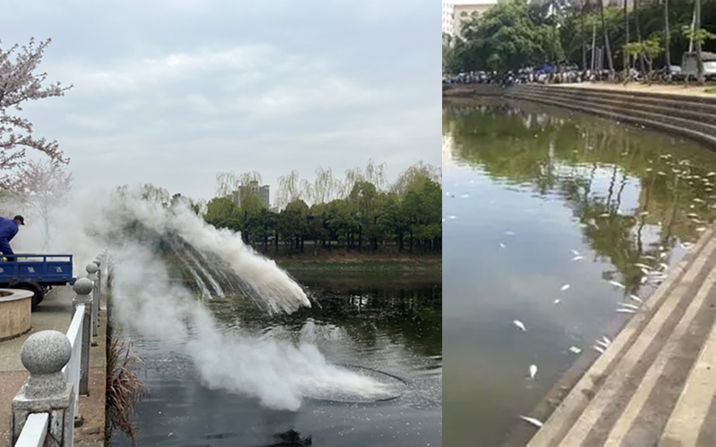 ZIPBIO-D2400光触媒蓝藻消除机