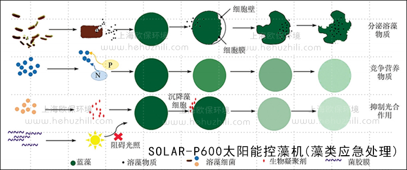SOLAR-P600太阳能控藻机