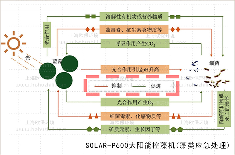 SOLAR-P600太阳能控藻机