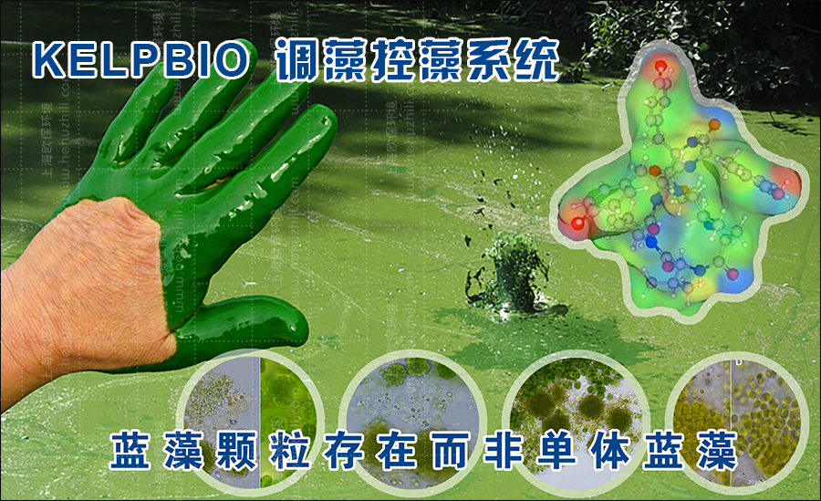SOLAR-P600太阳能控藻机