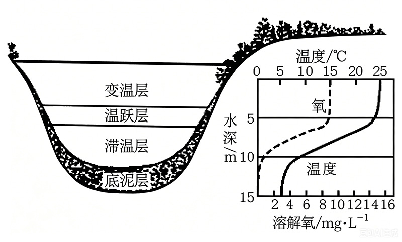 水库底层缺氧问题示意图生成需求